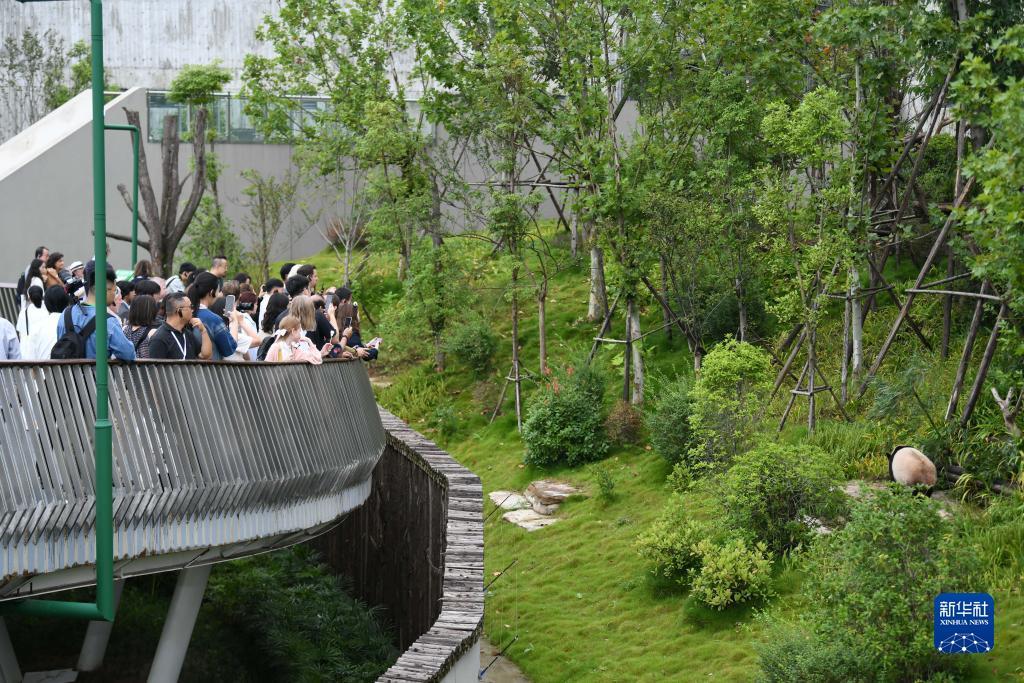 e8娱乐登录